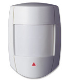 DG55