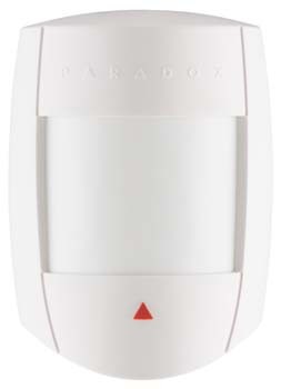 DG65